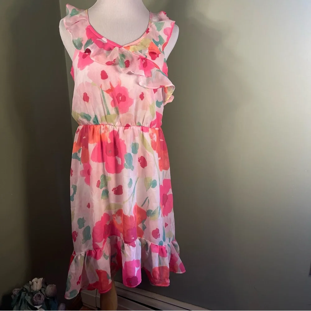 XXL (16) The Children's Place dress